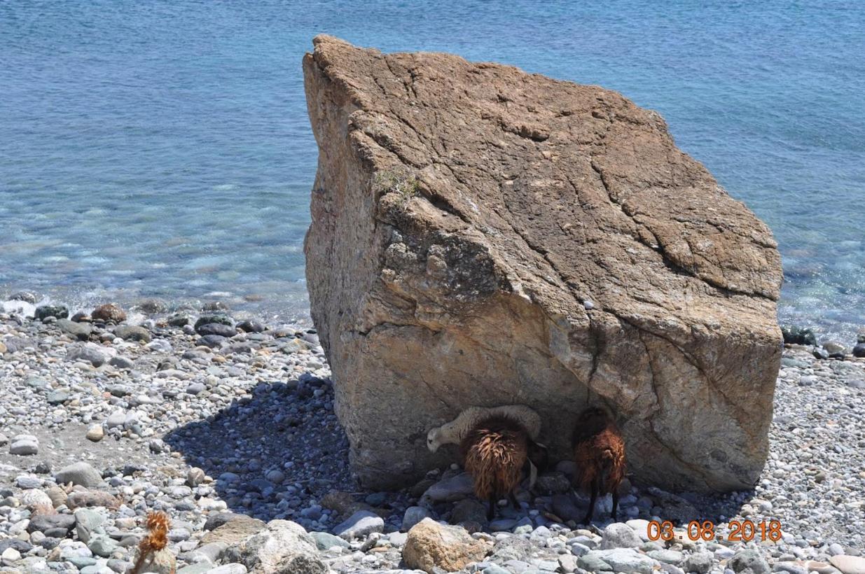 Island Villa Agia Galini Esterno foto