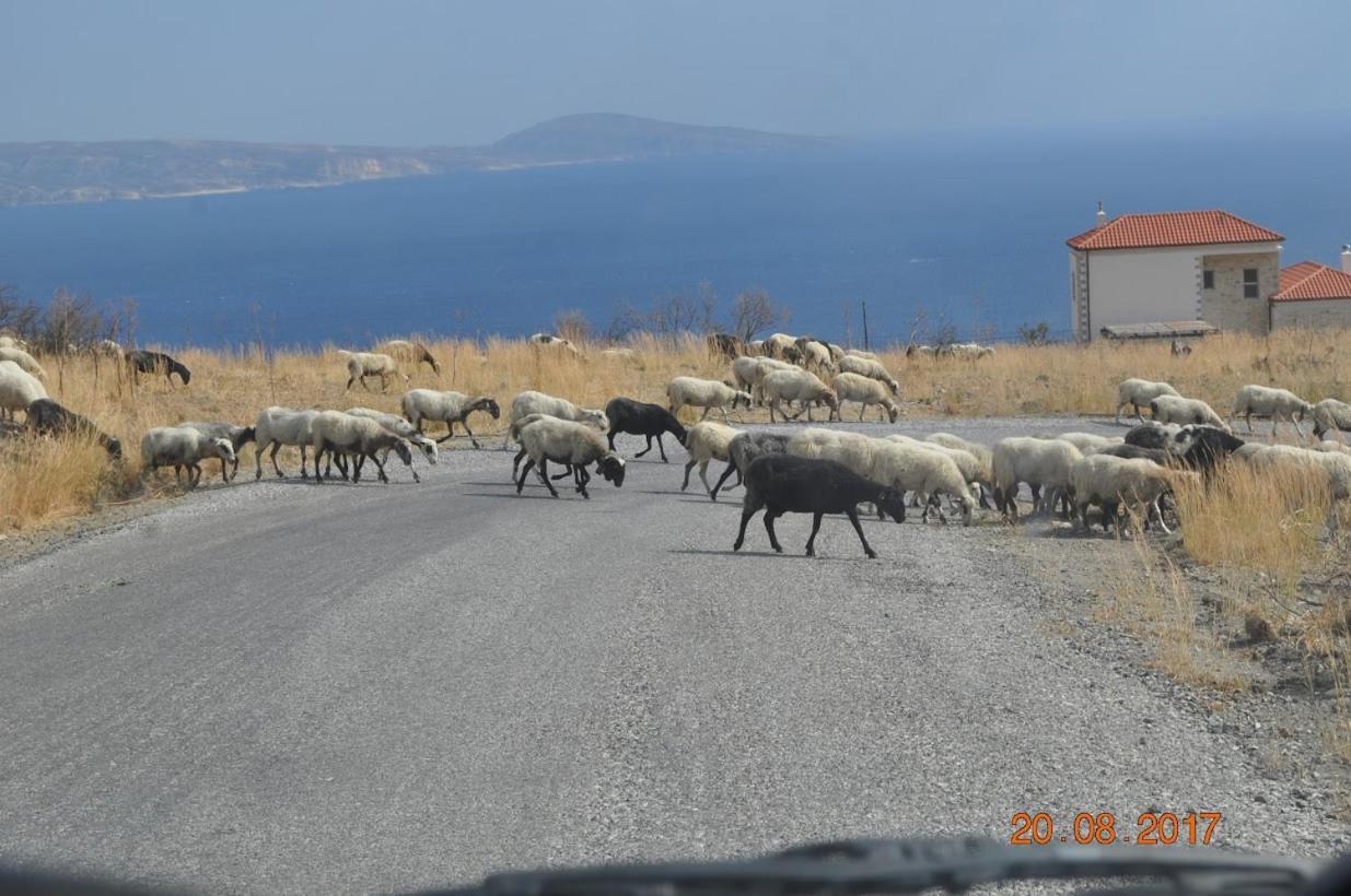 Island Villa Agia Galini Esterno foto