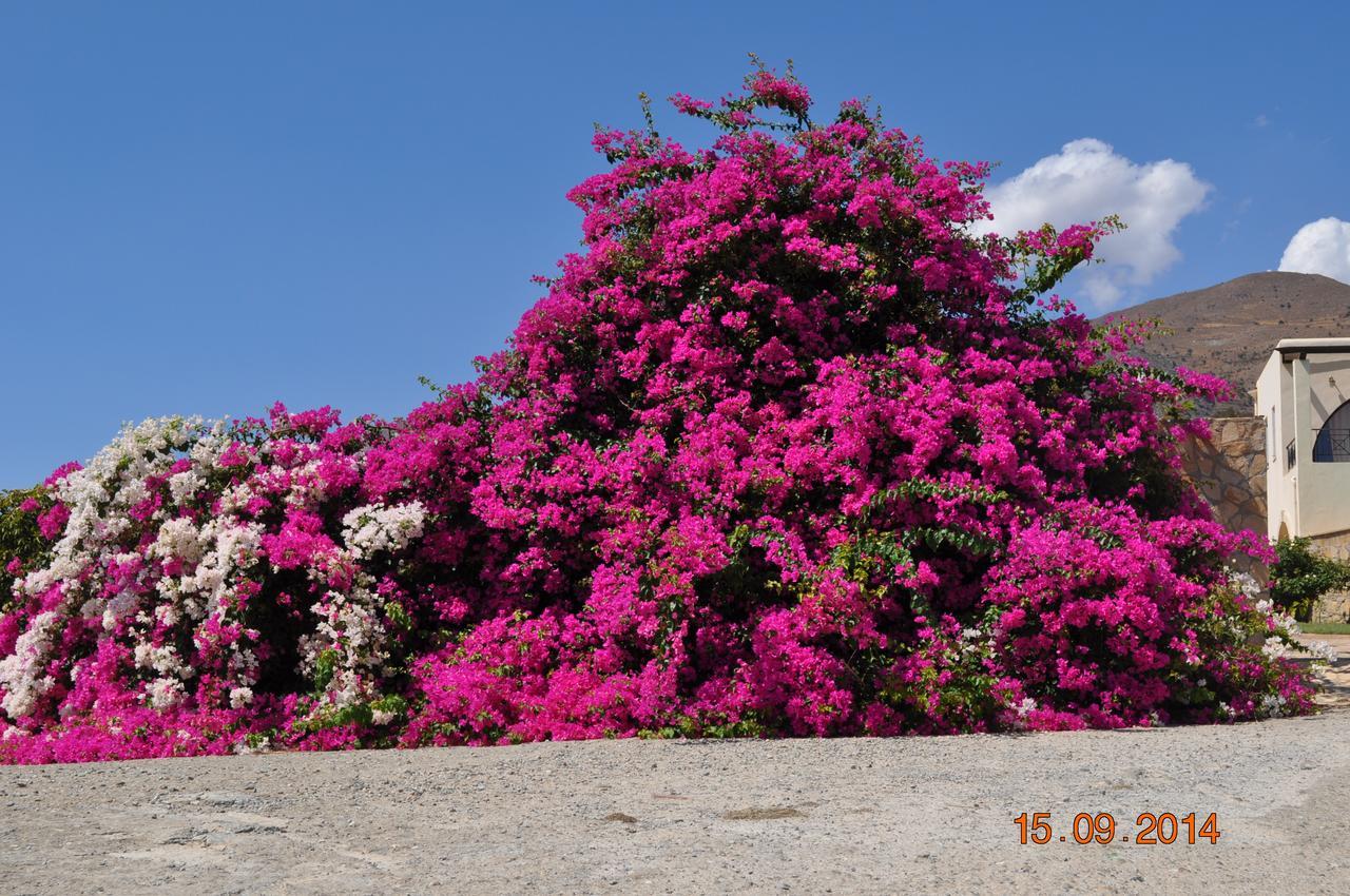 Island Villa Agia Galini Esterno foto